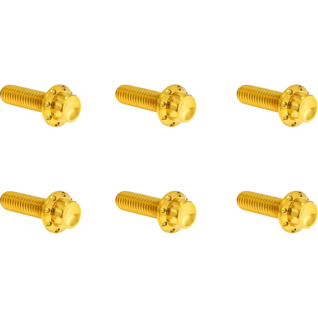 Arlen Ness Transmission Top Cover Titanium 12-Point Bolt Kit 12-Point Titanium Gold - 300-949 For Harley Motorcycles 2007-2025