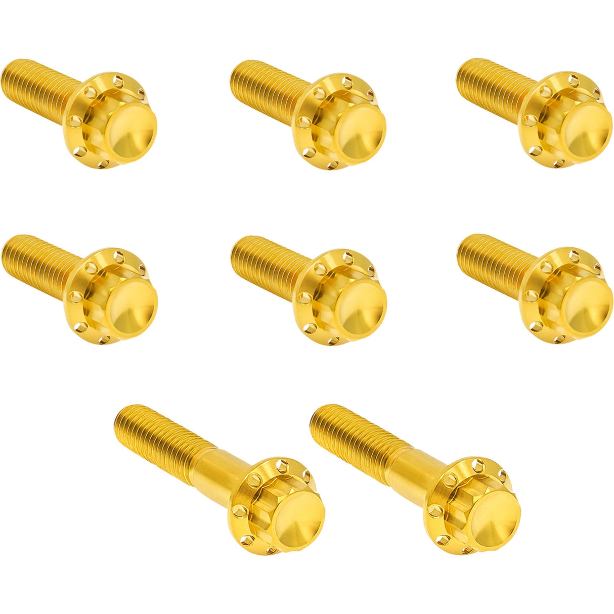 ARLEN NESS 2401-1823 300-714 Transmission Trap Door Titanium 12-Point Bolt Kit — For 6-Speed Transmission Bolt Kit - Trap Door - Titanium - 12-Point - Twin Cam/6-Speed - Gold