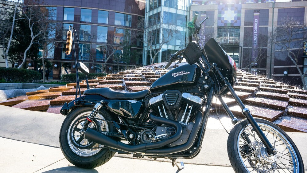 Burly Brand Stupid Tall Sissy Bar With Bar Black - B13-1508B For Harley Sportster 1994-2003 | Yamaha Watercraft 1998-2003