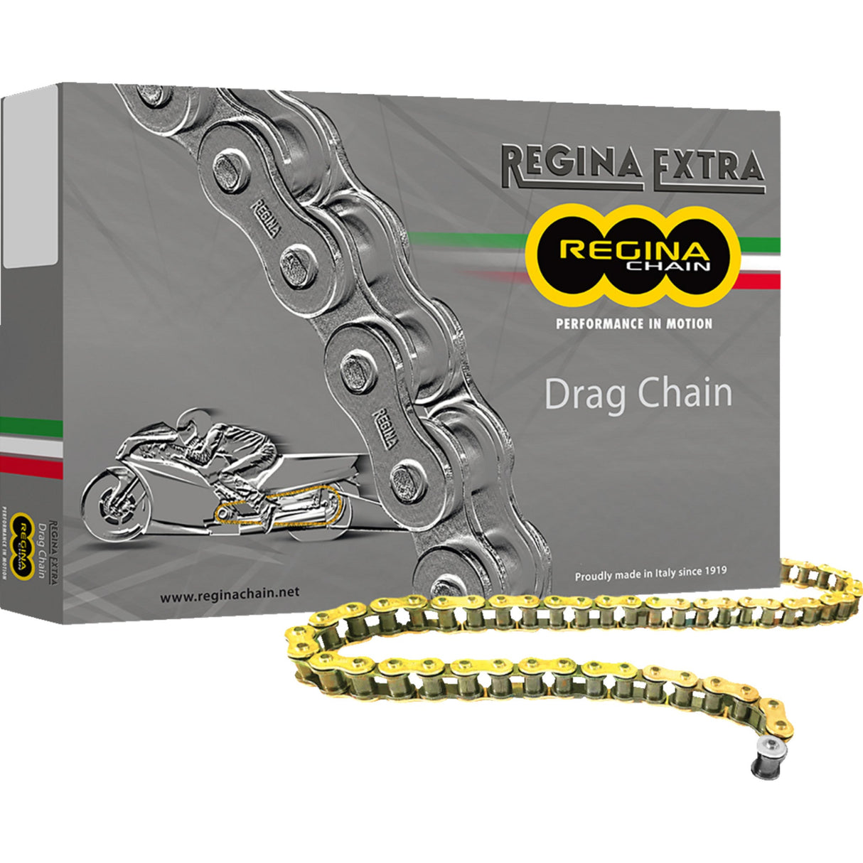 REGINA 1221-0132 136DR/1006 530 DR Extra Drag Racing Chain 530 DR Extra - Drag Racing Chain - 170 Links