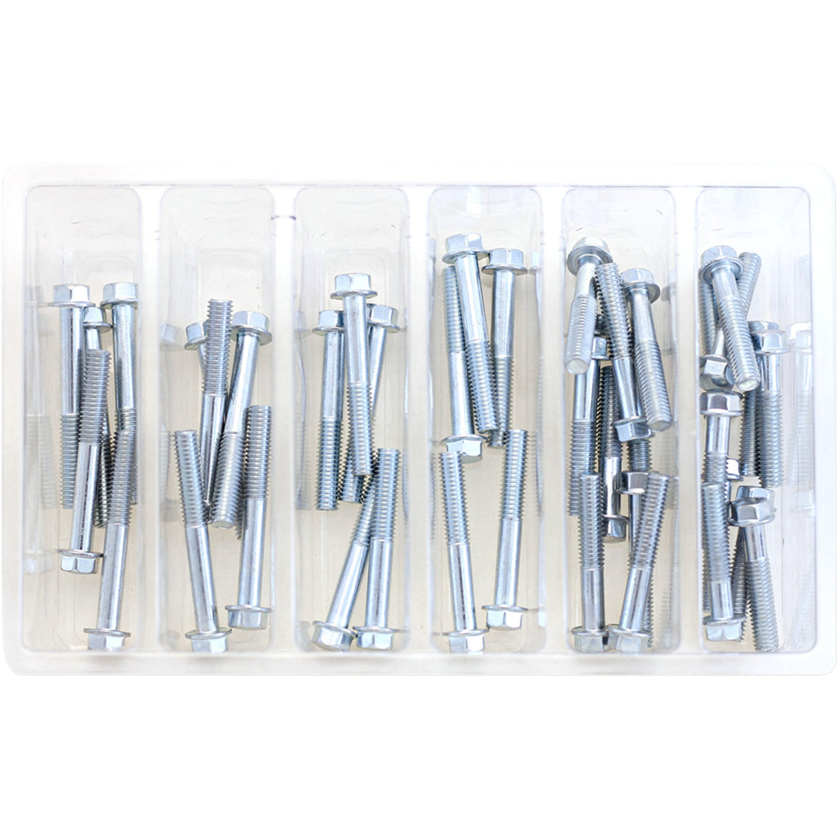 Bolt Assortment Hex Flange - SV-M6HEXF-2