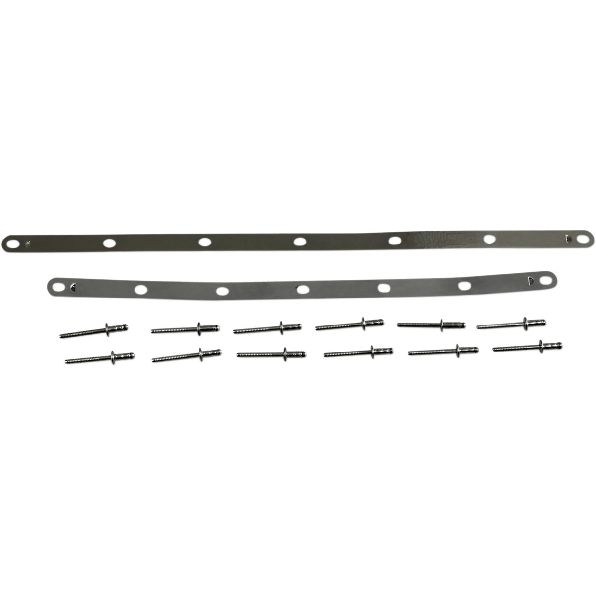 LEOVINCE 1861-1018 088421022R Strap and Rivet Kit factory r