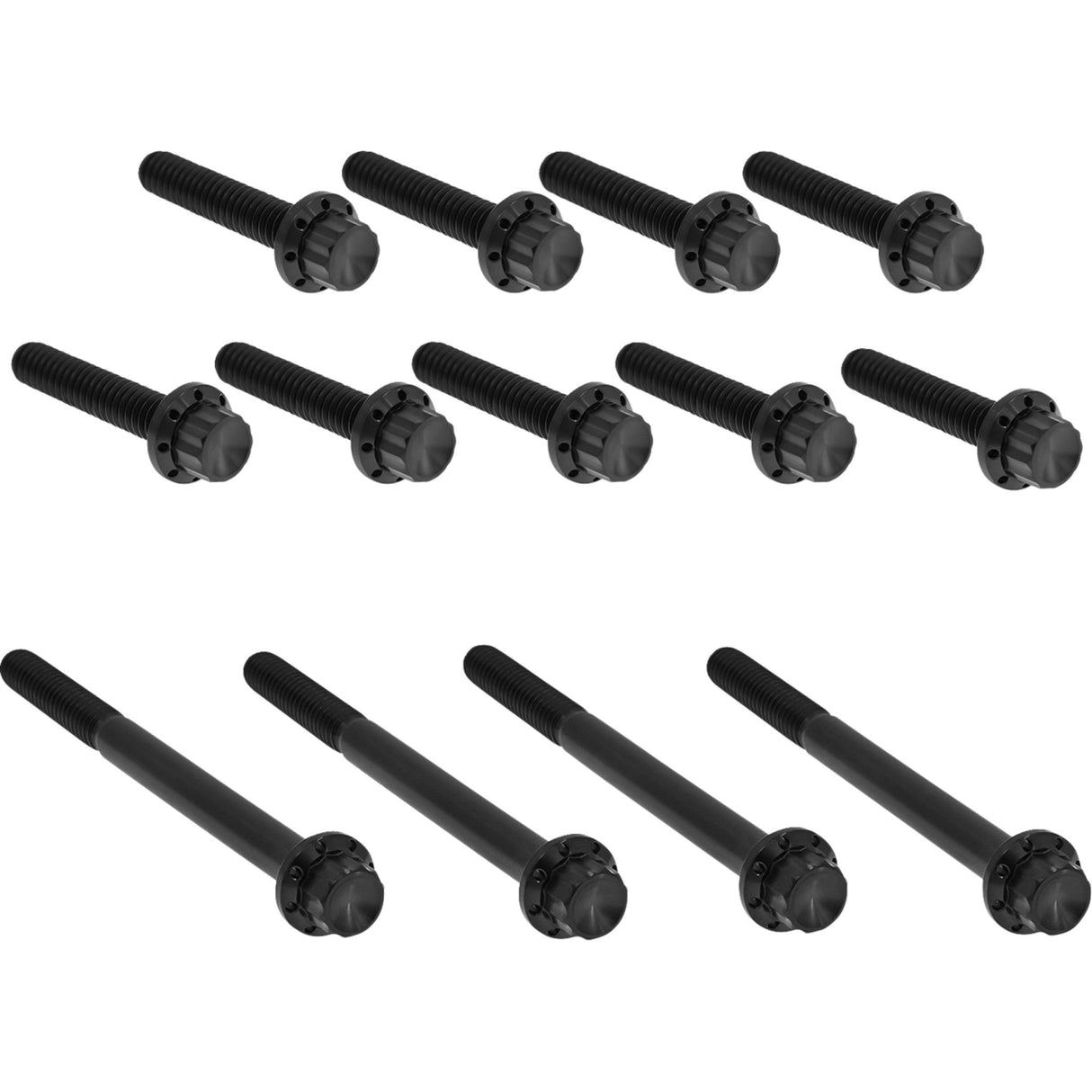 ARLEN NESS 2401-1768 300-990 Bolt Kit - Primary Cover - Titanium - 12-Point - Twin Cam - Black
