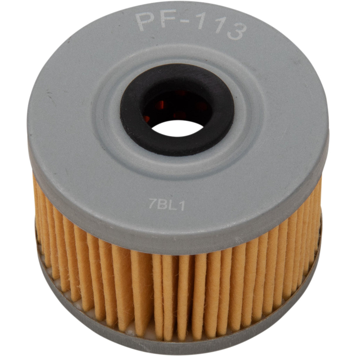 PRO FILTER 0712-0563 PF-113 Replacement Oil Filter