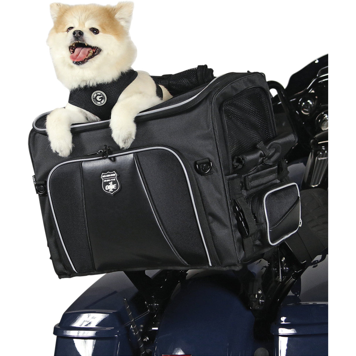 NELSON RIGG 3515-0214 NR-240 Route 1 Rover Pet Carrier black