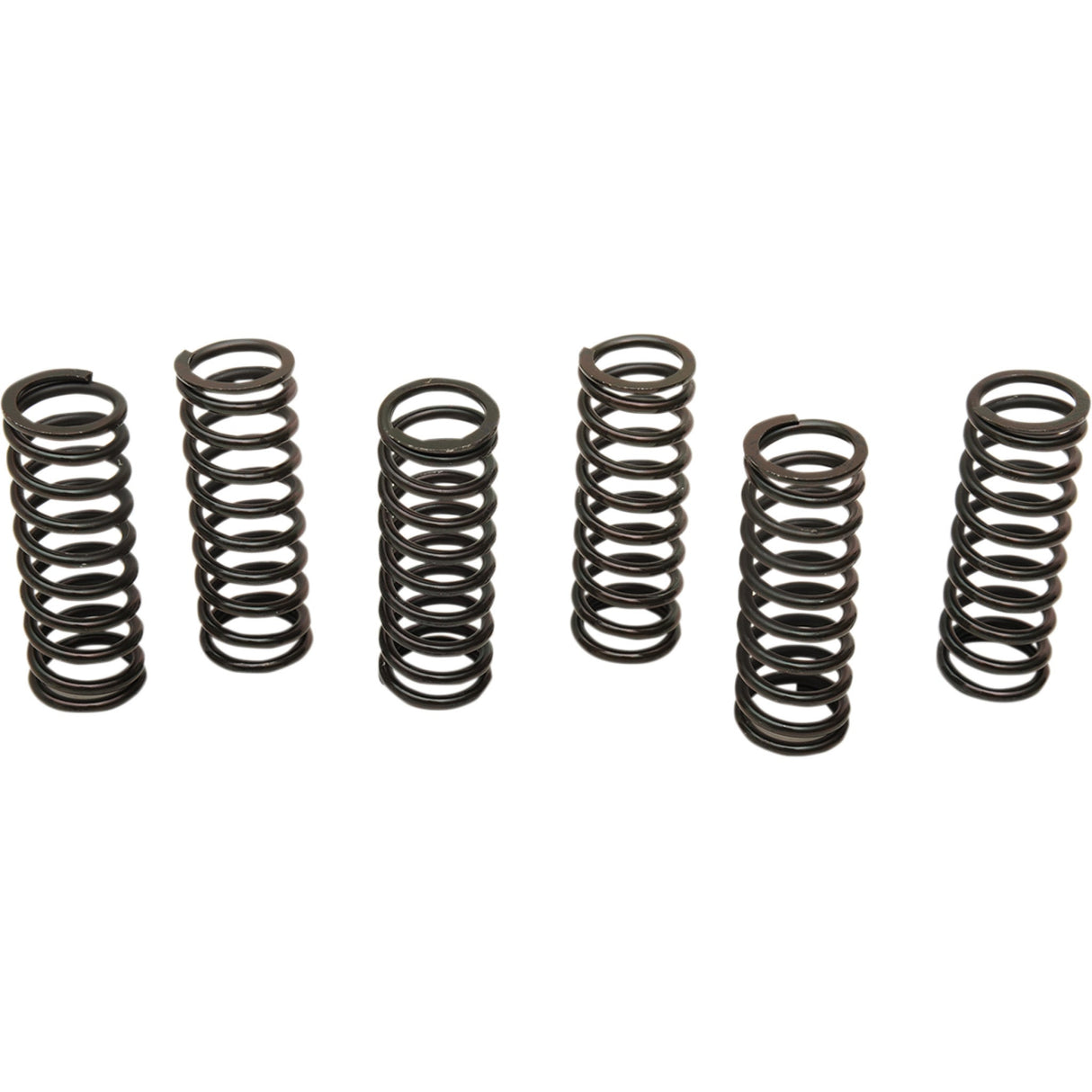 Barnett Spring Set - 501-60-06085 For Suzuki 650 / 650S / 1000 1999-2002 | Honda CBR1100XX Super Blackbird 1999-2003