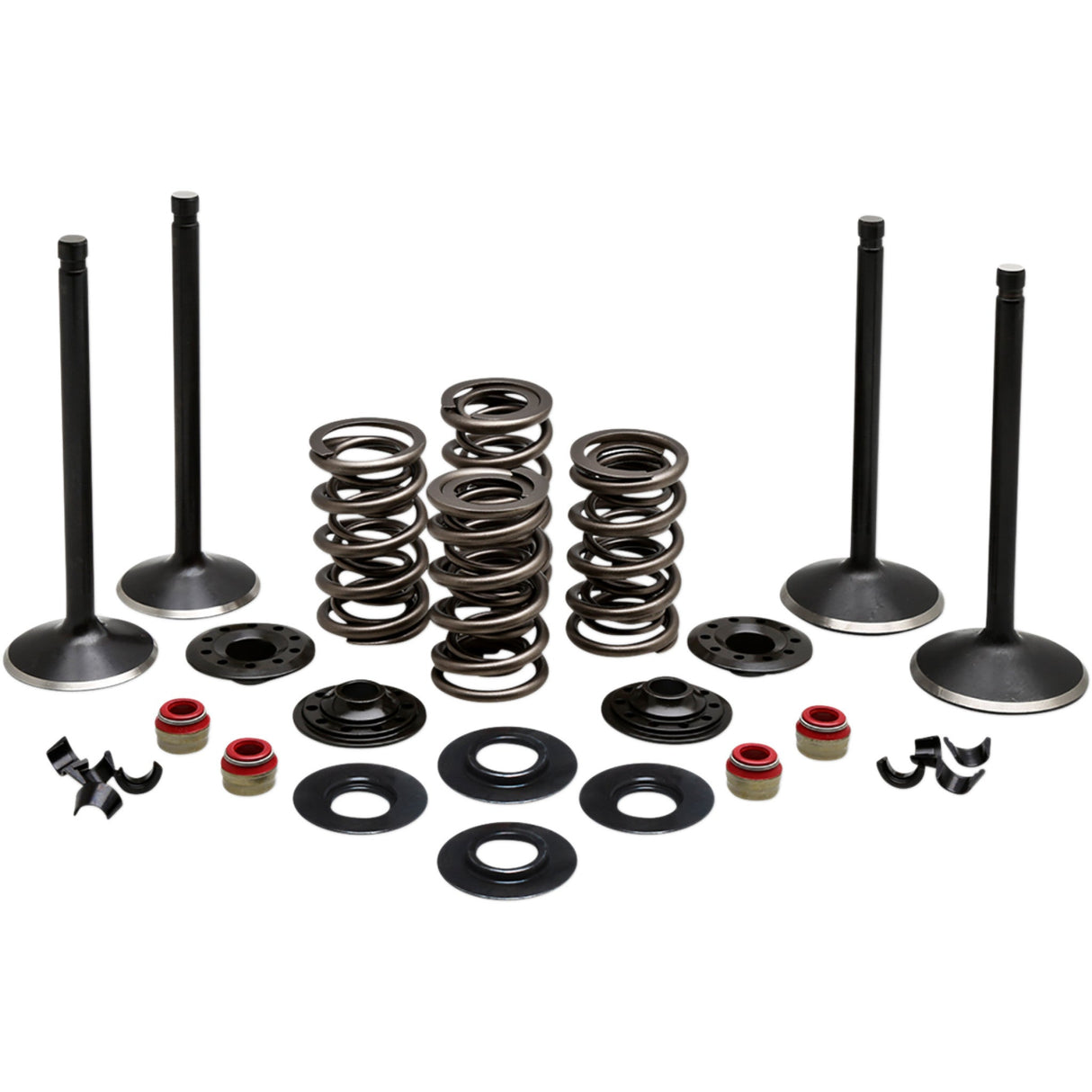 KIBBLEWHITE 0926-3210 20-22650 Engine Kit Complete Valve Kit - Evolution