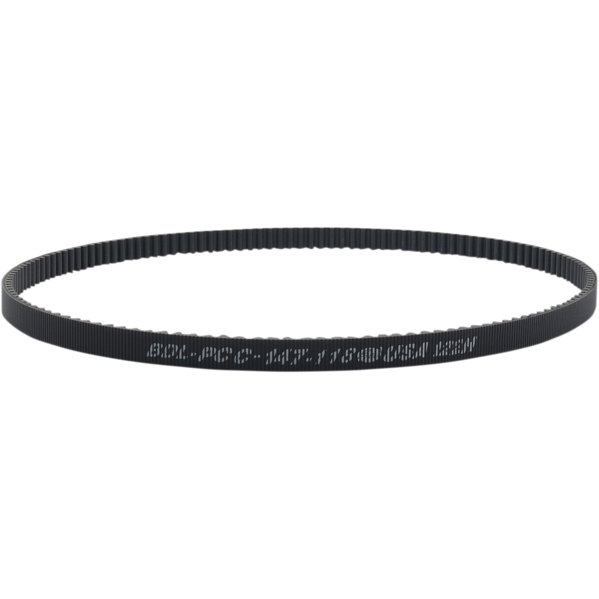 BELT DRIVES LTD. 1204-0231 PCC-147-118 Rear Drive Belt Rear Belt Drive - 147 Tooth - 1-1/8"