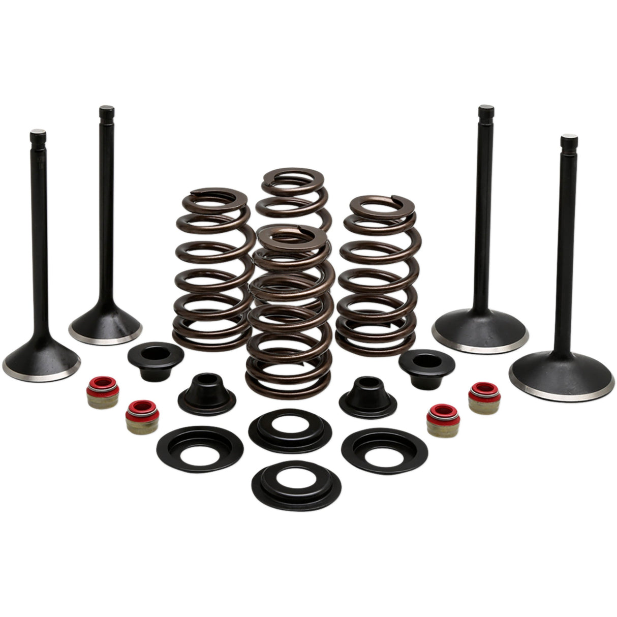 KIBBLEWHITE 0926-3214 20-22850 Engine Kit Complete Valve Kit - Evolution/1200