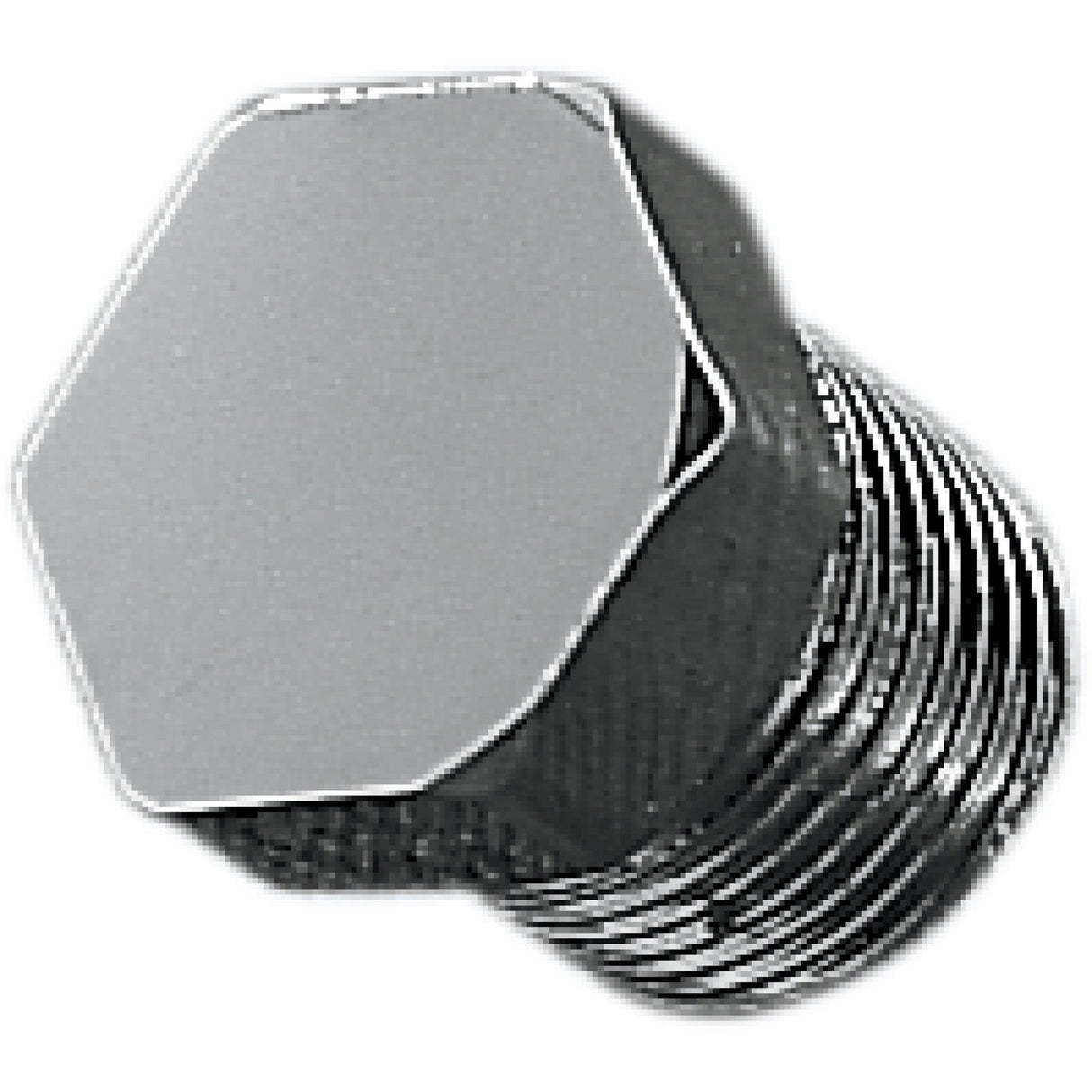GARDNER-WESTCOTT DS-245262 7-121PP-2 Chrome Hex Drain Plug 1/8" NPT Hex Plug - Chrome