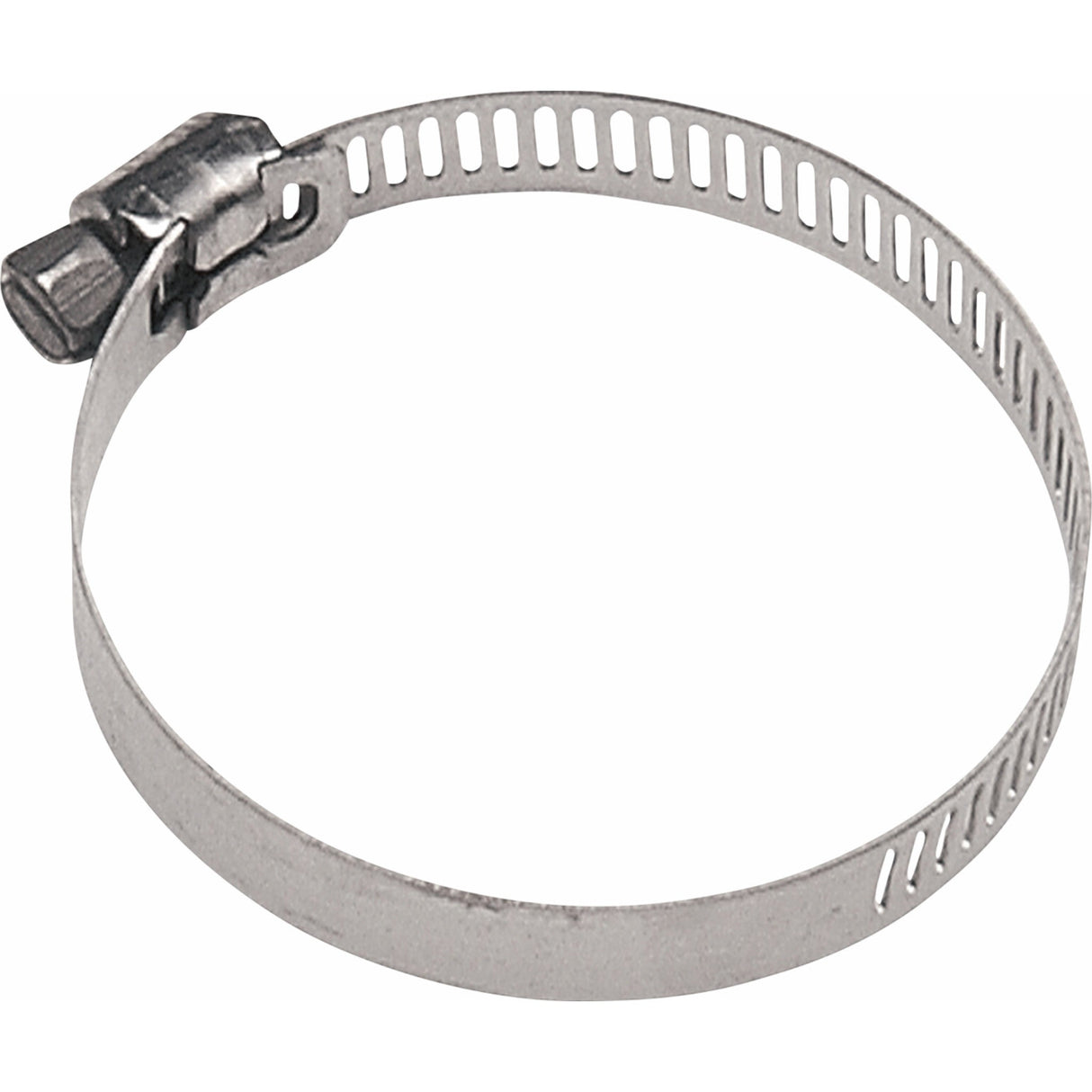 WSM 2404-0033 13-161-03 Mini Clamps Clamp - Stainless Steel - 3/8"-1-1/16"