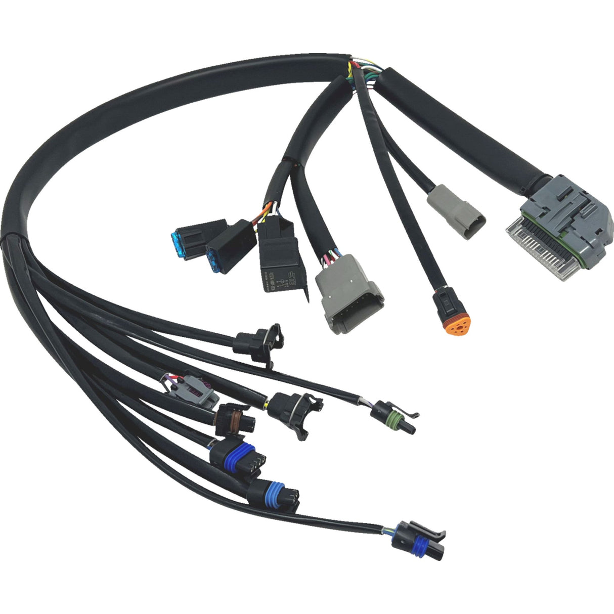 Namz Wire Harness - NHD-70233-04A For Harley Touring 2004-2005