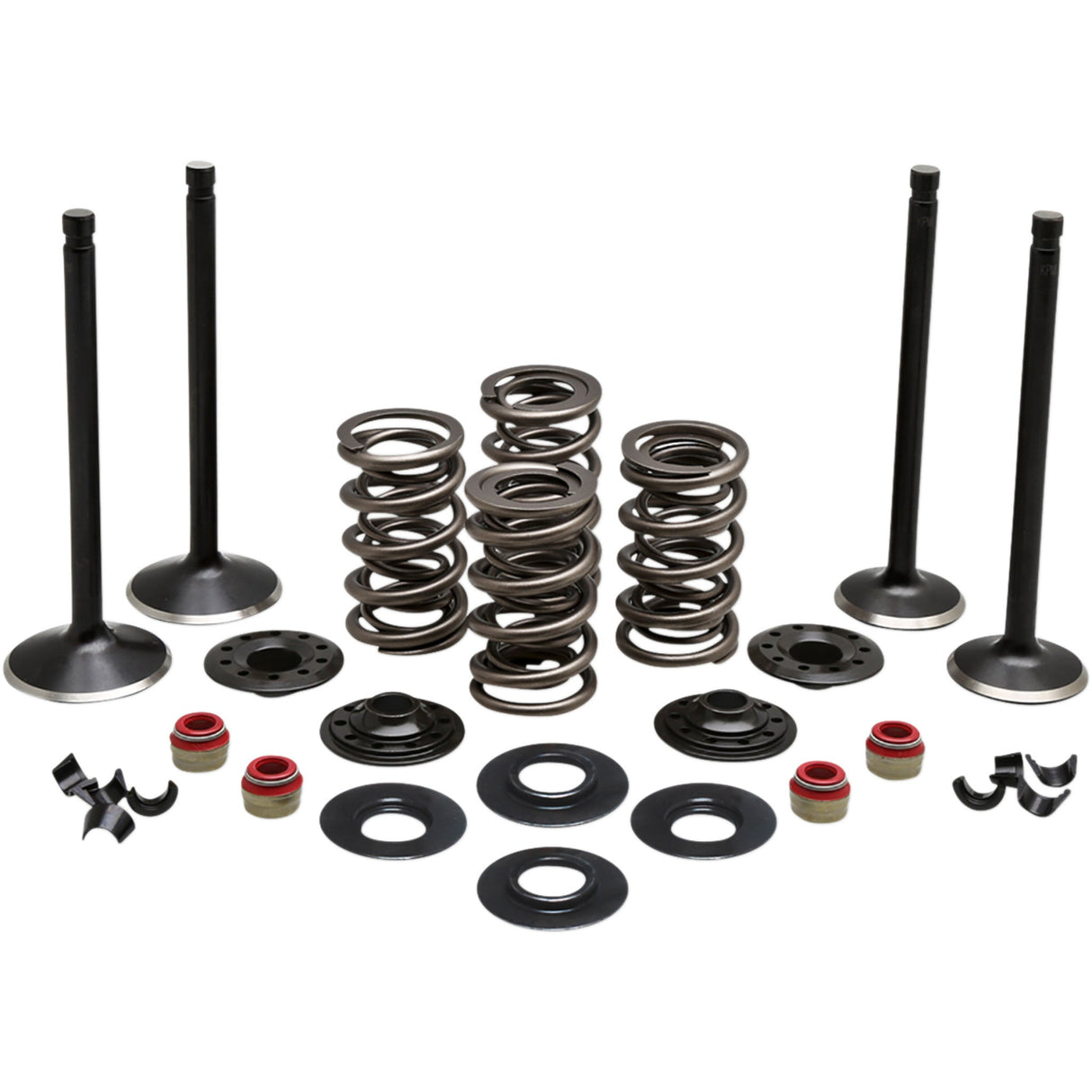 KIBBLEWHITE 0926-3212 20-22750 Engine Kit Complete Valve Kit - Evolution/883