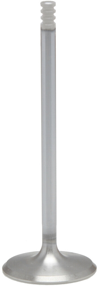 Kpmi 191-17049 20-21061H WHITE DIAMOND INT. VALVE 1.630 O/S M8 `17-24 NON VVT