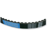 Athena Belt - S410000350037 Piaggio Fly 50 2005-2013