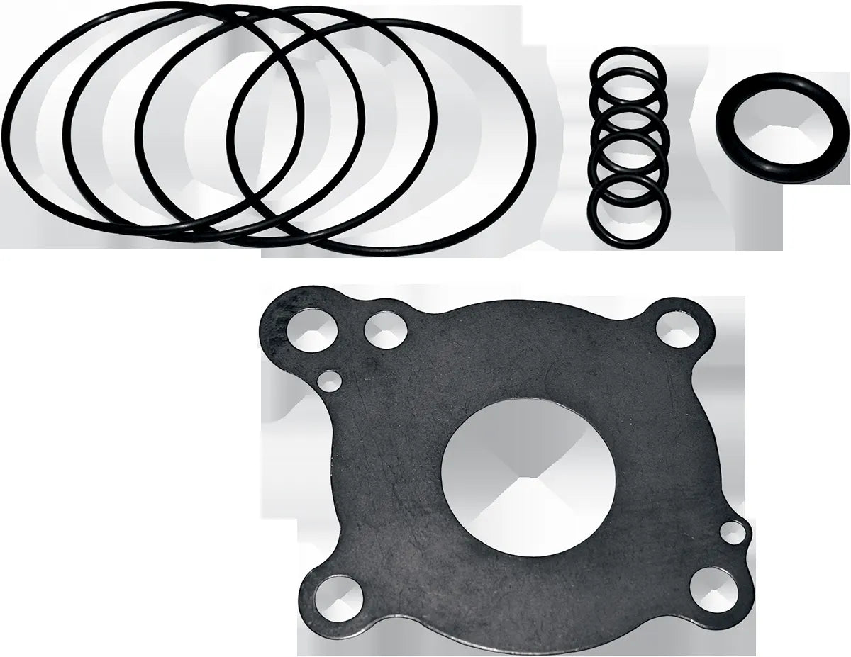 Oil Pump Rebuild Kit
