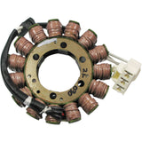 Rick's Motorsport Electric Stator - 21-030 Aprilia Motorcycles 2010-2019