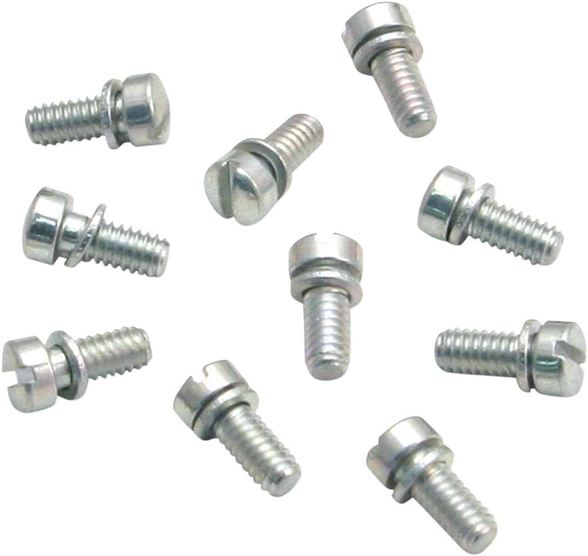 Slotted Screws