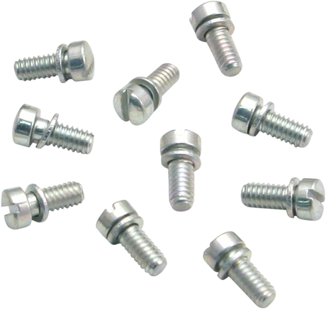 Slotted Screws