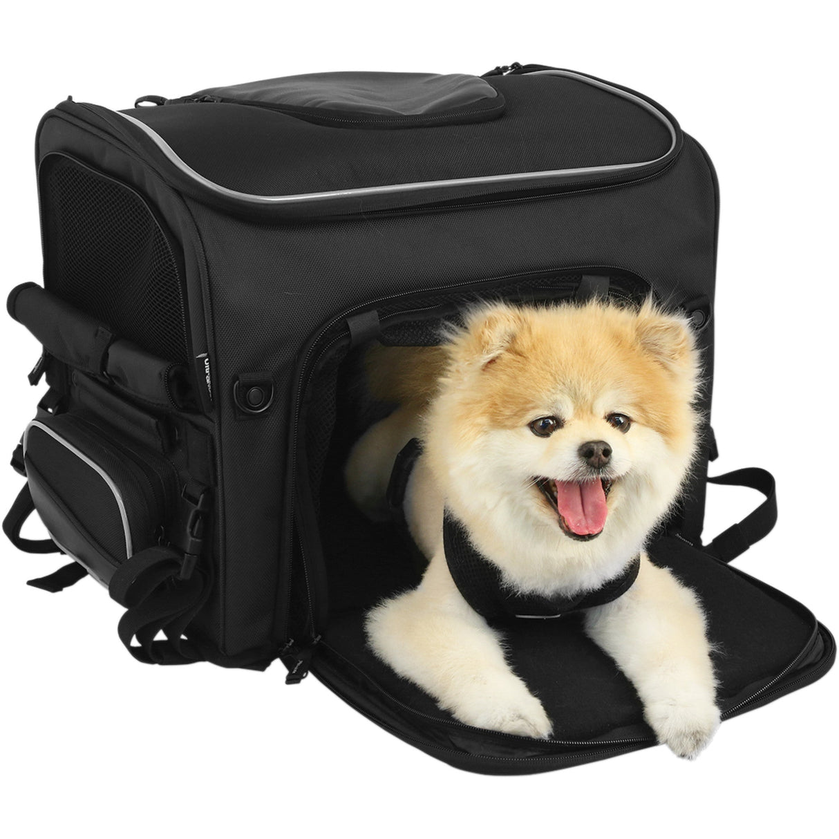 NELSON RIGG 3515-0214 NR-240 Route 1 Rover Pet Carrier black