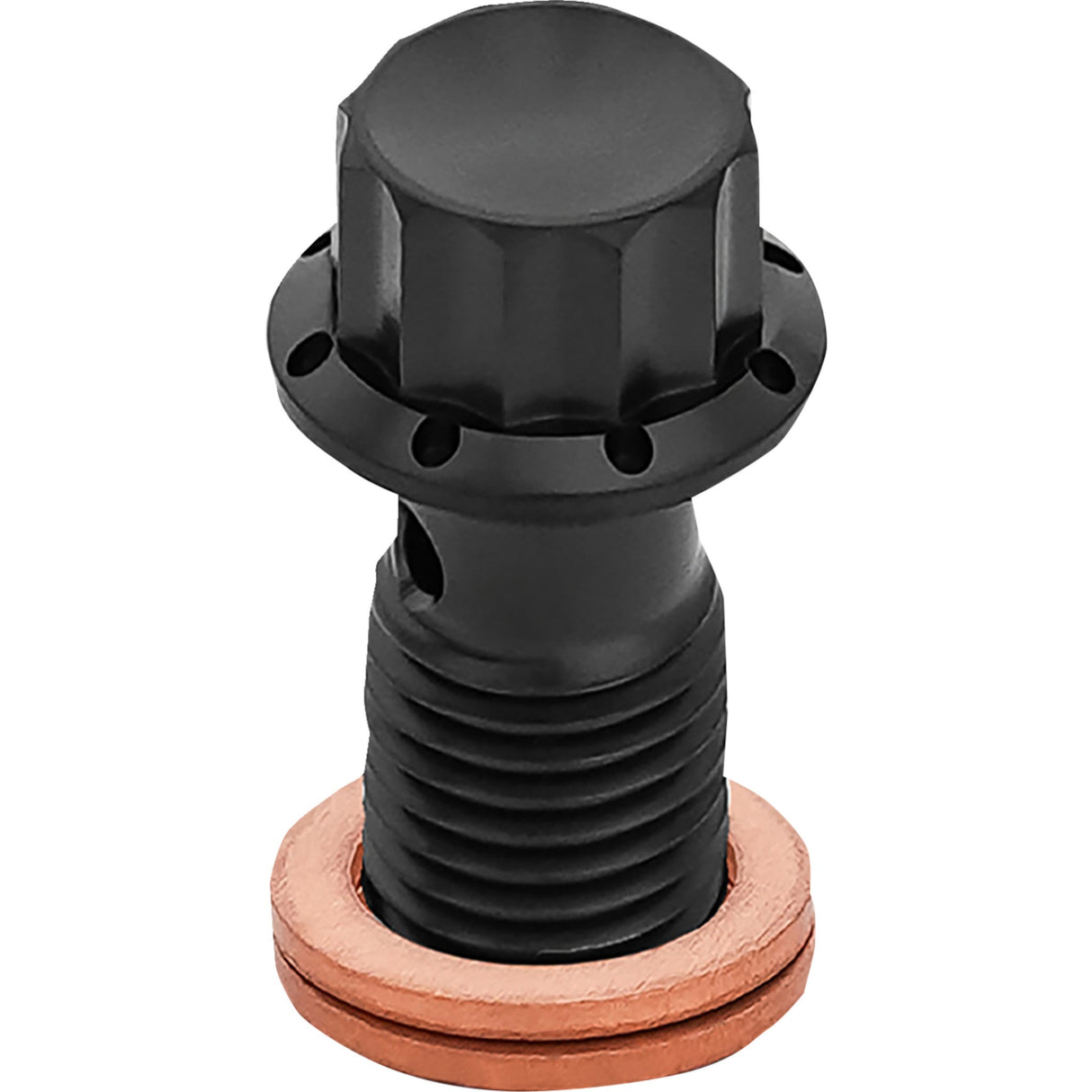 Arlen Ness Titanium 12-Point Banjo Bolt M12x1.25 Black - 300-834 For Harley Softail 2018-2025