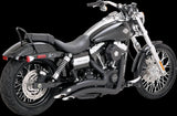 2-into-2 Big Radius Exhaust System