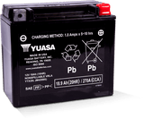 Yuasa Battery YUAM420BS Yuasa YTX20L Maintenance Free AGM 12-Volt Battery