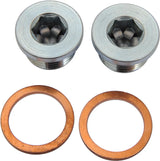 O2 Sensor Port Plug Kit