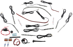 Magic Flex II Indian LED Engine Accent Light Kit — Engine, MagicFLEX2®