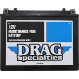 DRAG SPECIALTIES 2113-0212 AGM Maintenance-Free Battery AGM Battery - YTX24HLBS
