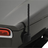 Show Chrome Antenna - 41-180 For Can-Am Spyder 2010-2023 | Yamaha Star Venture / XV19B Star Eluder / Star Eluder / XV19F Star Venture 2018