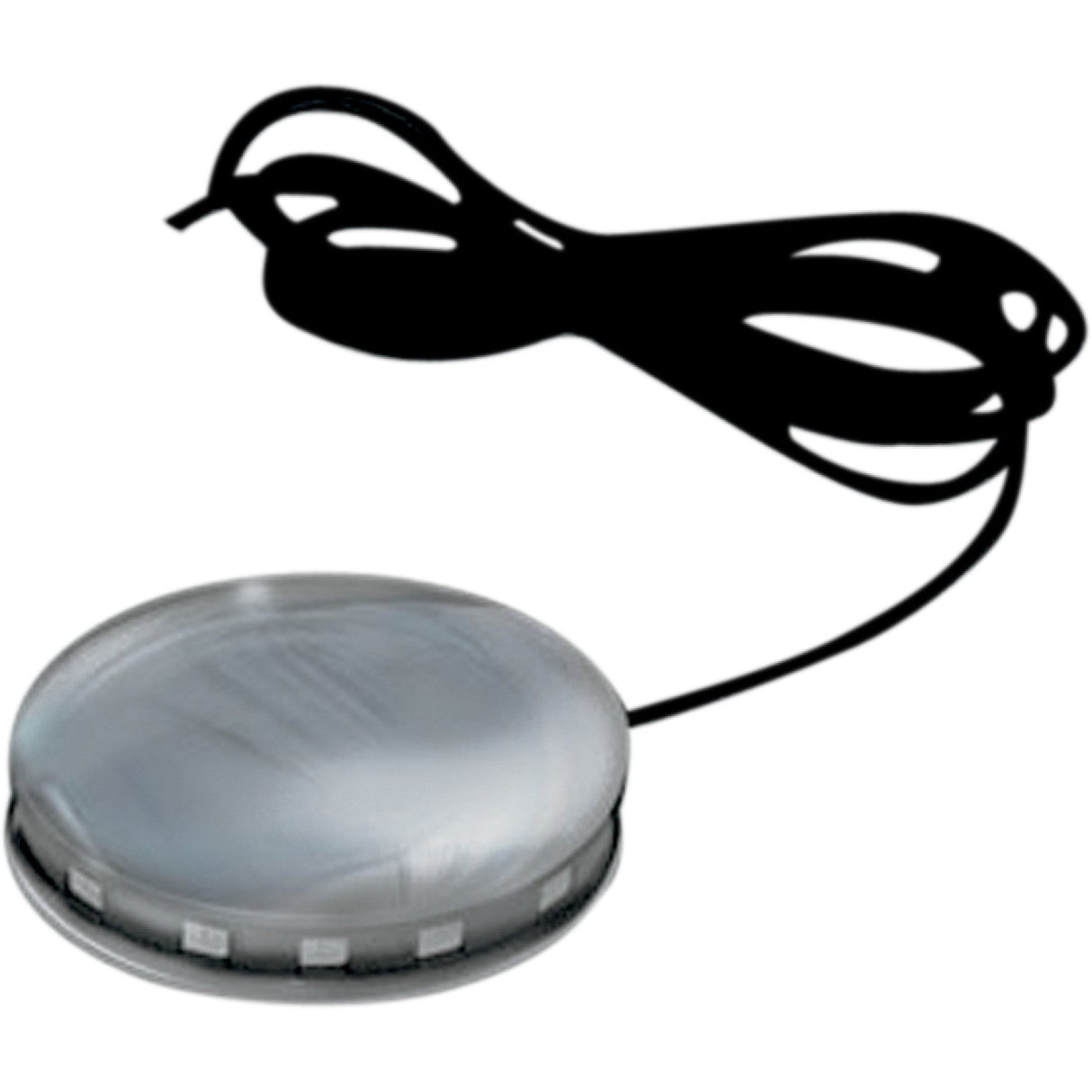 CUSTOM DYNAMICS 2040-1019 MWZ12C Magical Wizards™ Light Wheel Wizard Light Wheel - Chrome