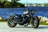 Kuryakyn 6683 Dillinger Skid Plate Silver