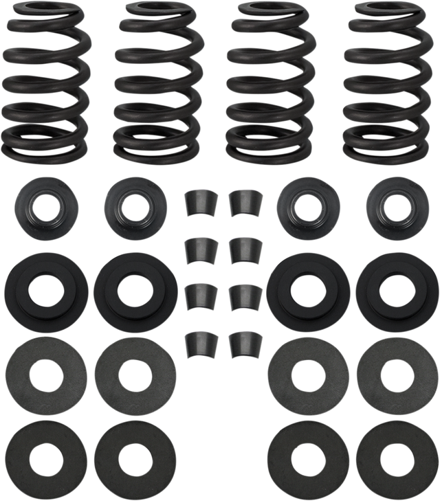 Street Performance Valve Spring Kit