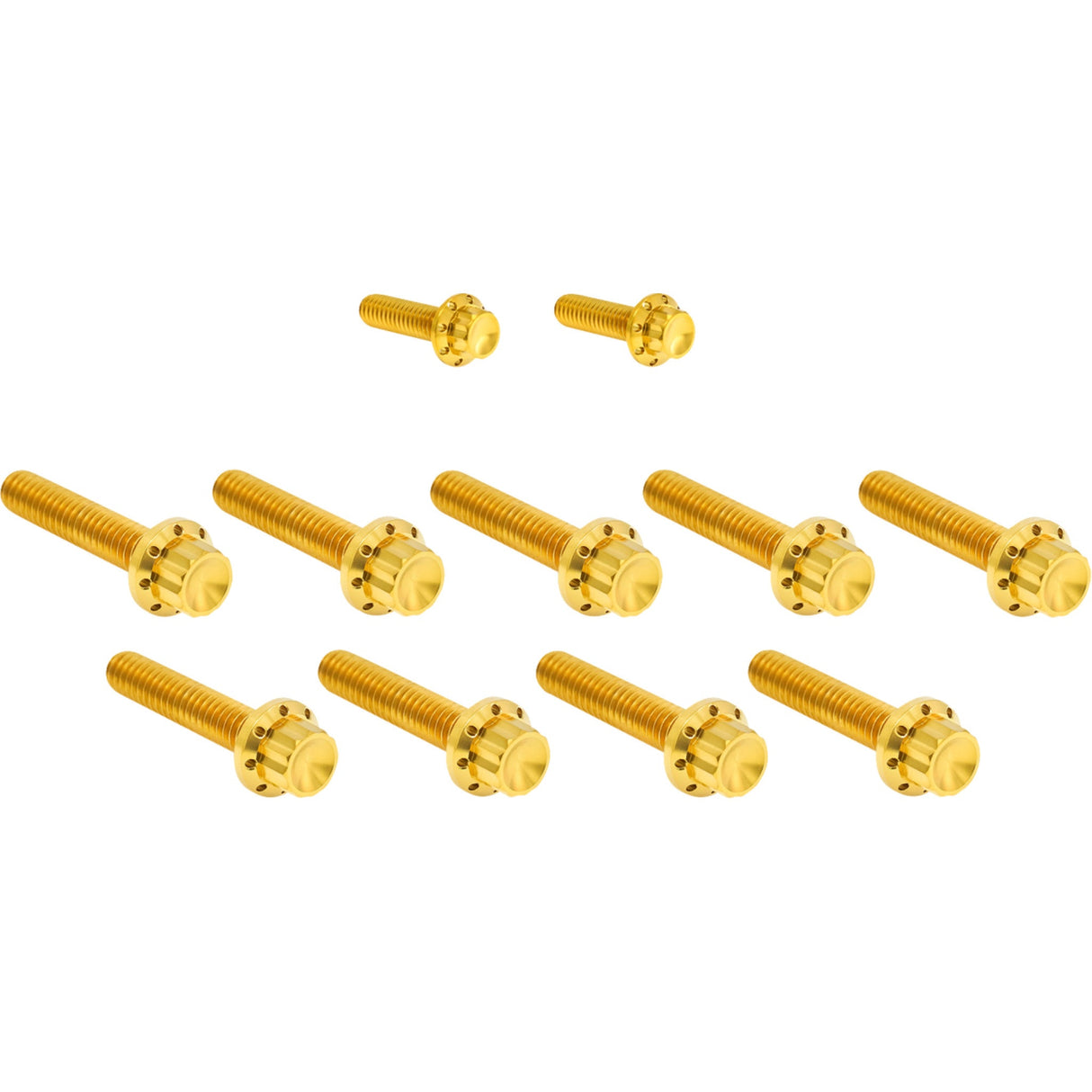 ARLEN NESS 2401-1736 300-934 Bolt Kit - Cam Cover/Point Cover - Titanium - 12-Point - Gold