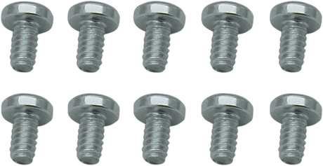 Throttle Plate Screws