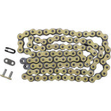 REGINA 1221-0089 135RX3/003 520 RX3 Series Chain 520 RX3 - Drive Chain - 100 Links
