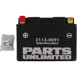 Parts Unlimited Factory-Activated AGM Maintenance-Free Battery YTZ12S Honda Motorcycles 2000-2018