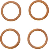 Magnum Shielding E-Z Align Series Brake Line - AS475033 For Indian Scout 2018-2024