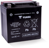 Yuasa Battery YUAM6230X Yuasa YIX30L-BS High Performance Maintenance Free AGM 12-Volt Battery W/bottle
