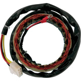 RICK'S MOTORSPORT ELECTRIC CHS1NWL 21-101 Stator for Honda Stator - Honda