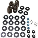 Feuling Oil Pump Corp. Econo Beehive Spring Kit - 1121 For Harley Motorcycles 2002-2020