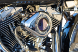 Air Stinger Stealth Air Cleaner Kit - Chrome - 1010-2963