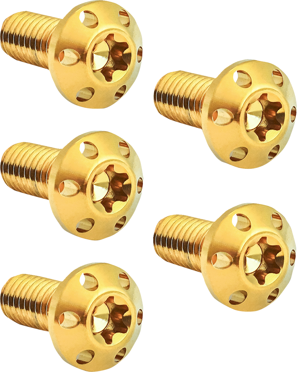 Holeshot Brake Rotor Bolt Kit