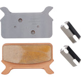 DP Brakes Sintered Metal Harley Buell Brake Pads For Harley Touring 1986-1999