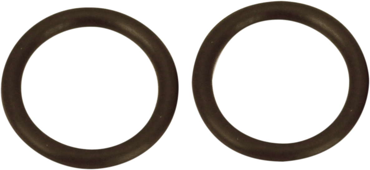 O-Ring