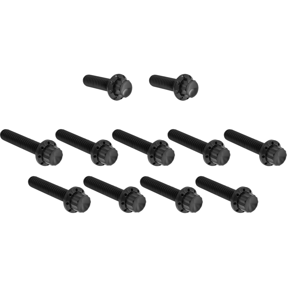 Arlen Ness Cam Cover Point Cover Titanium 12-Point Bolt Kit Black - 300-981 For Harley Road Glide / Touring / Softail / Street Glide 2023-2026