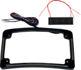 Radius License Plate Frame with Auxiliary Red LEDs and Tag Illumination