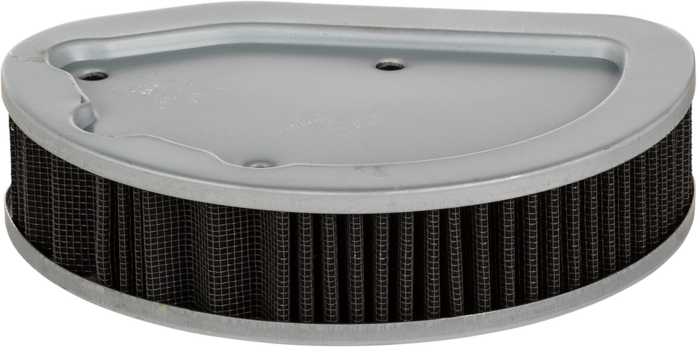 Harddrive 820-50683 TJ-A-134 PERFORMANCE AIR FILTER REPL OEM 29400045