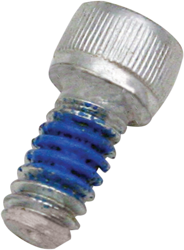 Replacement Air Cleaner Screw